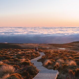 a path leading to the top of a mountain